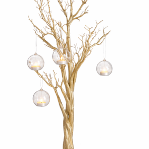 Gold Manzanita Tree with Base