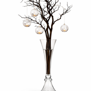 Manzanita Branch Centerpiece in Trumpet Vase