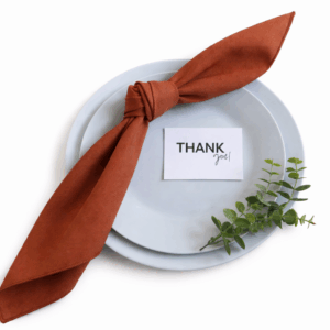 Terracotta Polyester Napkin