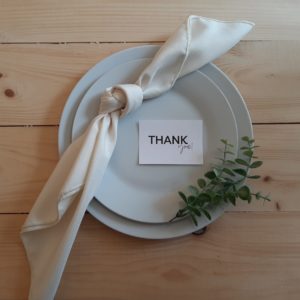 ivory polyester napkins