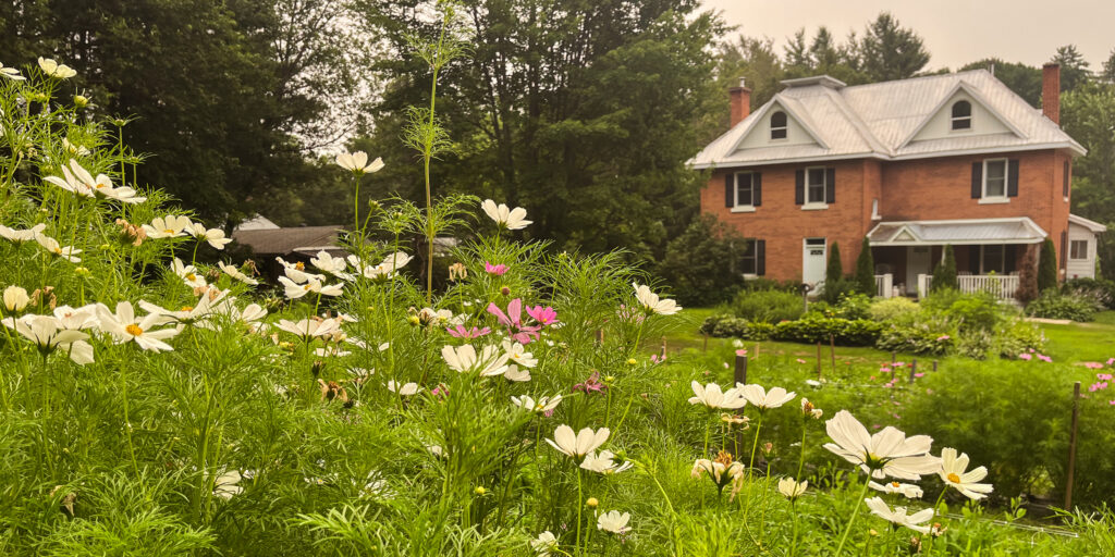 U Pick Flower Farm